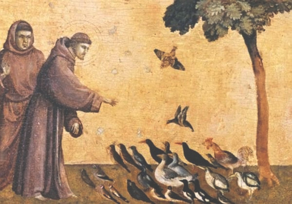 Santi che amavano gli animali