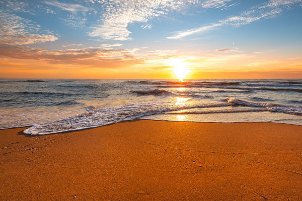 Decadenza e Rinascita