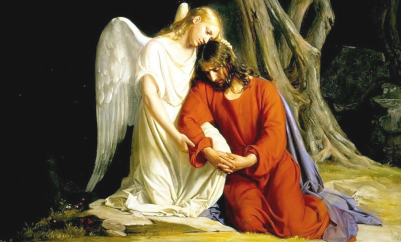 Gesù desidera che vegliamo con Lui e con ogni creatura che soffre