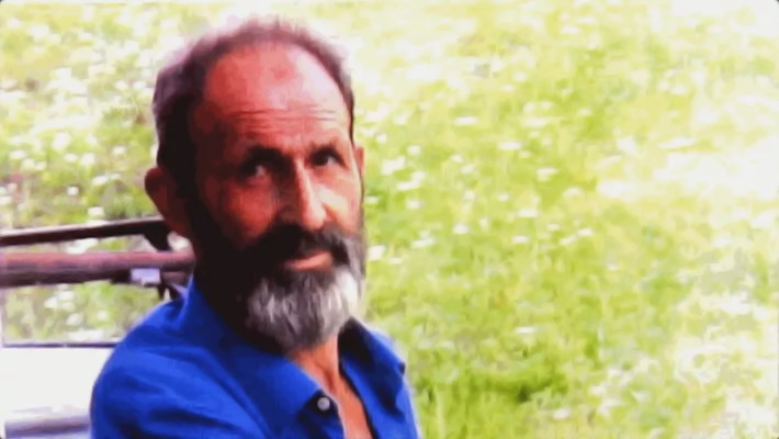 Di fiori è cosparso il Mio prato, ma uno è diverso dall'altro...